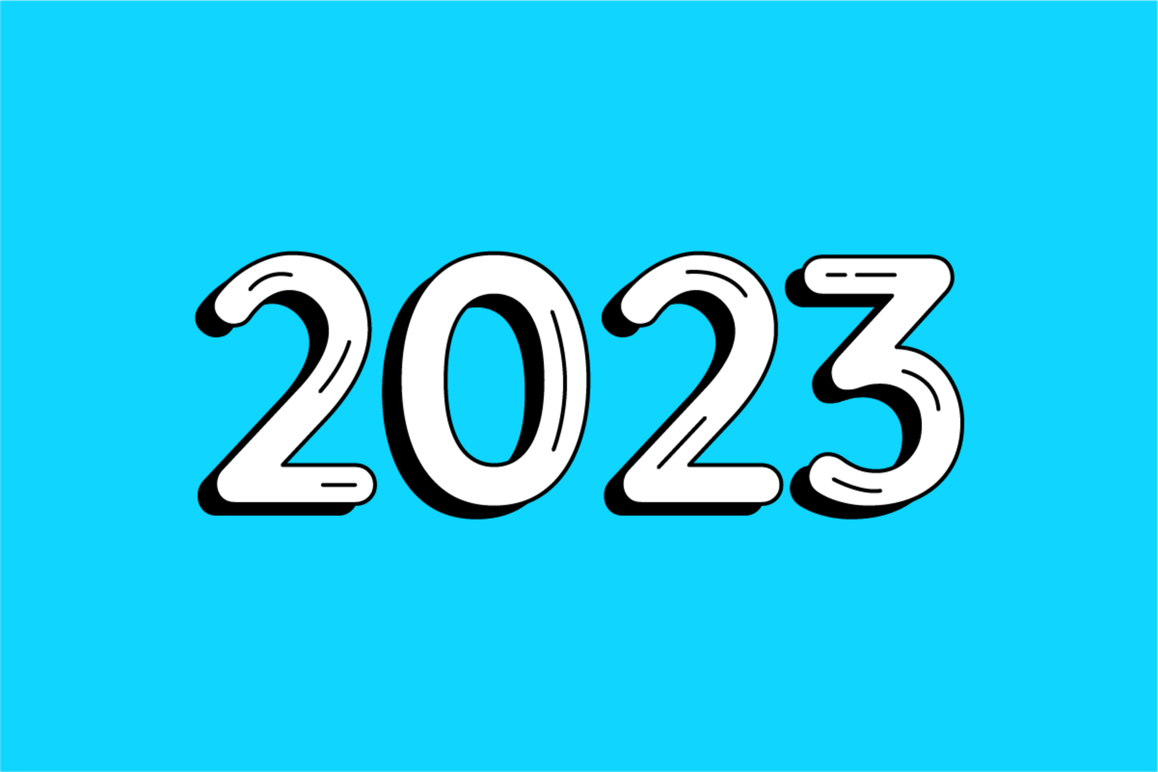 2023 Year Overview