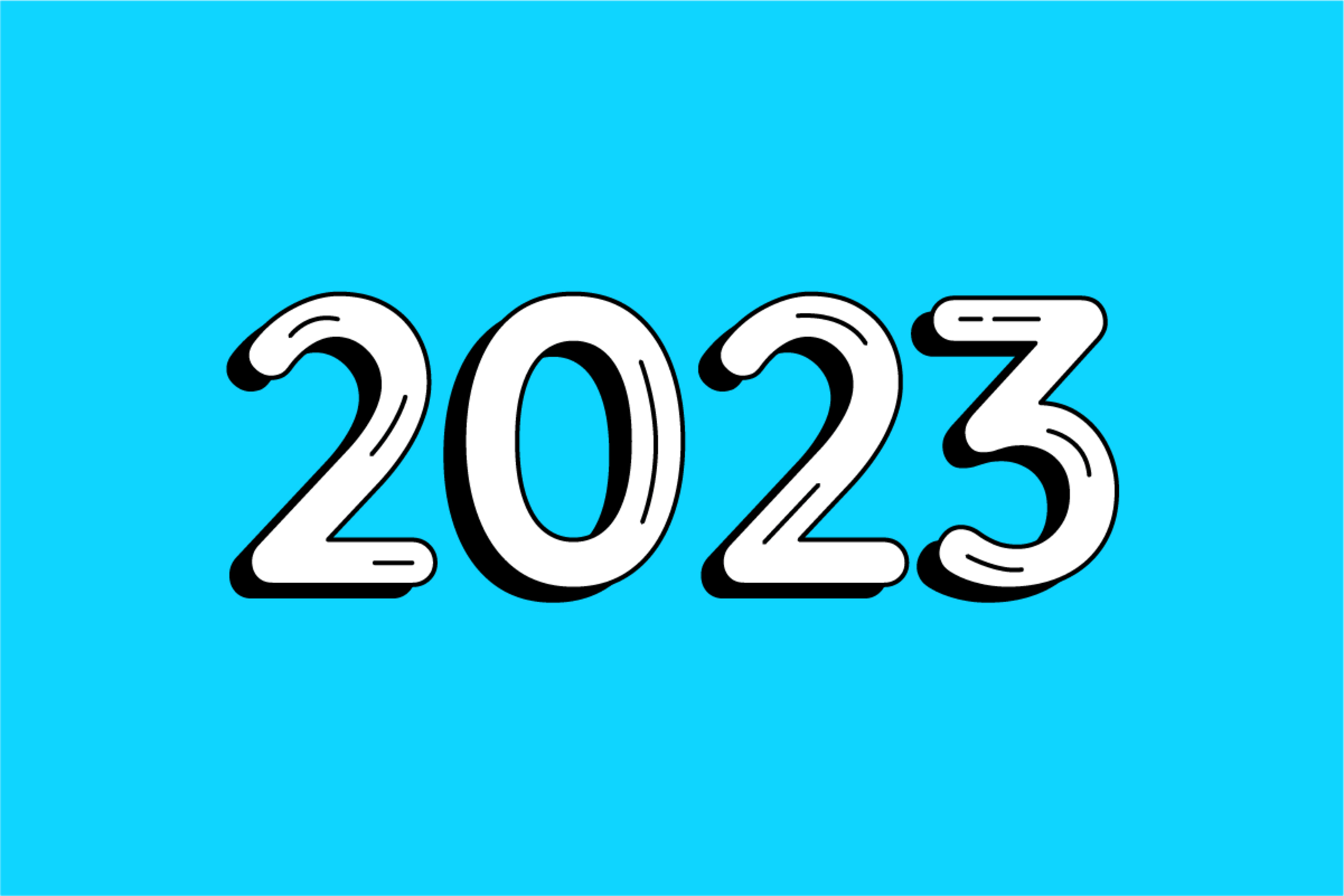 2023 Year Overview