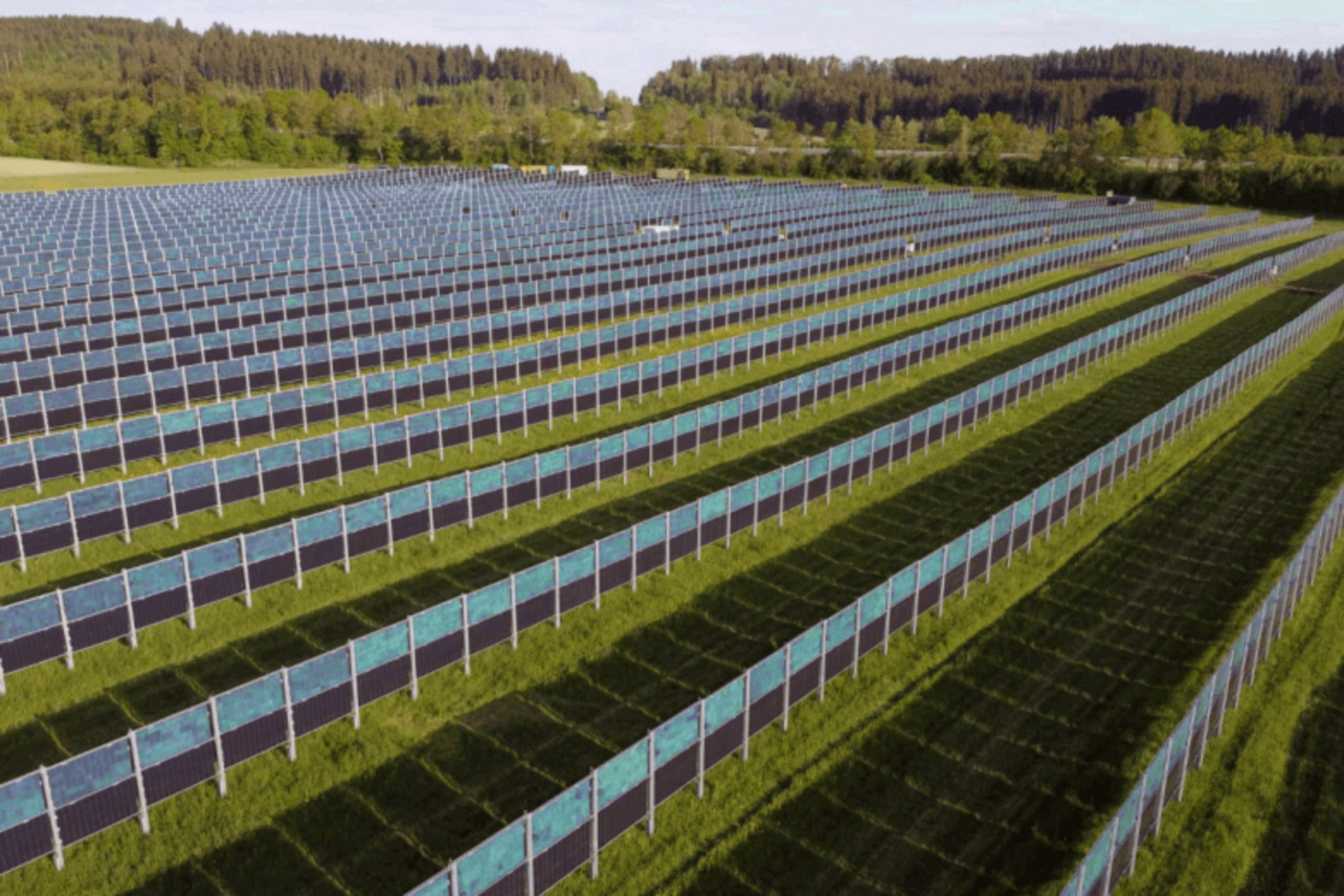 Ground-mounted solar panels: the big step towards a successful project