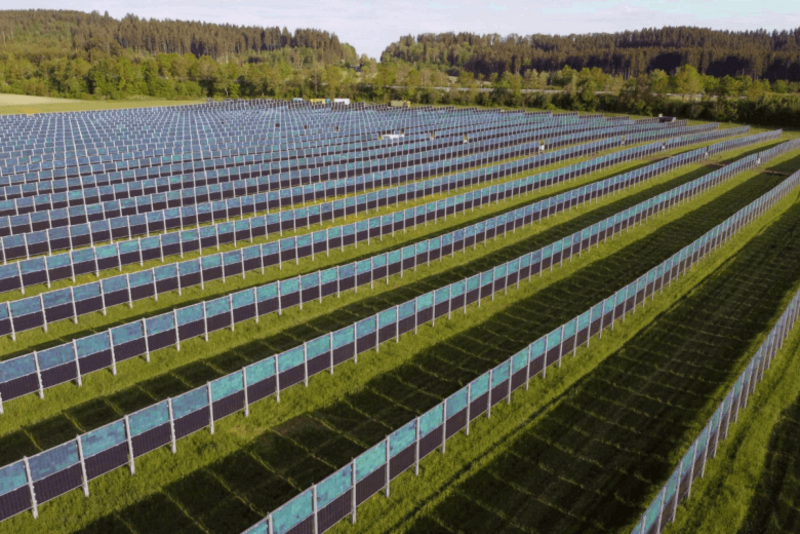 Ground-mounted solar panels: the big step towards a successful project