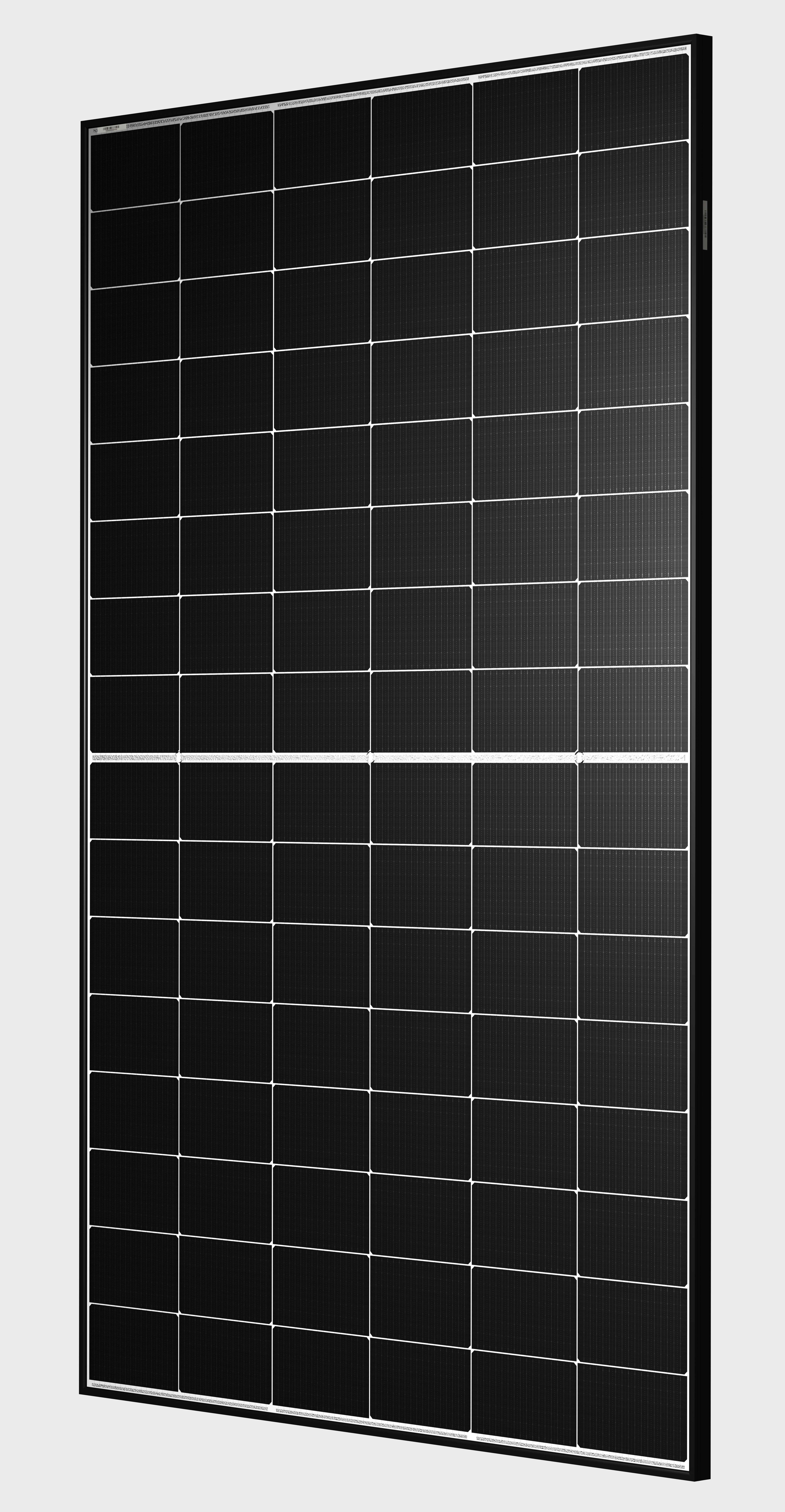 TW Solar double glass TWMNH-48HW 460W