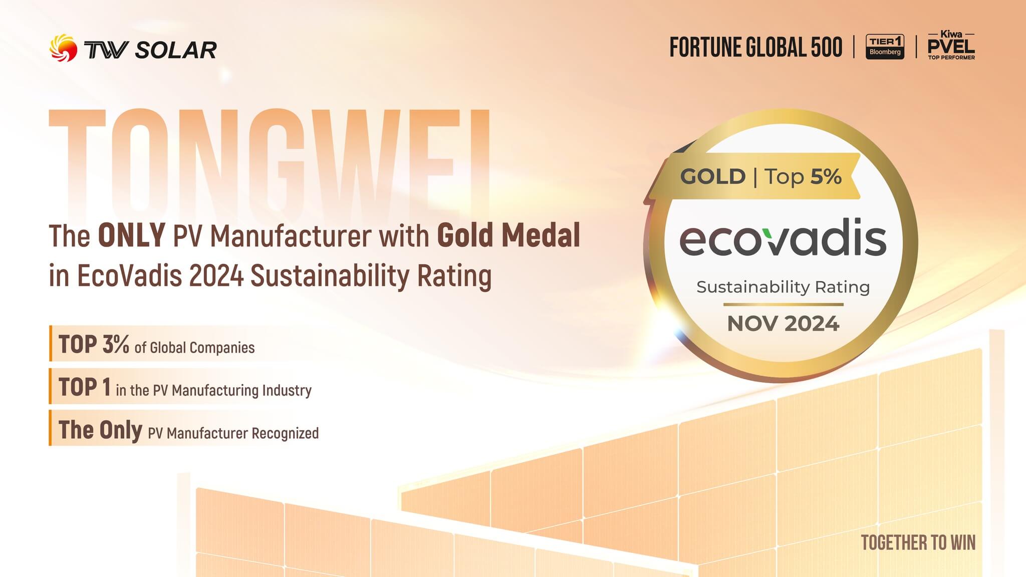 Tongwei Ecovadis TW Solar double glass TWMNH-48HW 460W