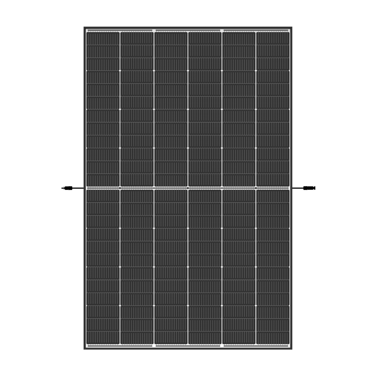 Trina 455 TSM-NEG9R.28 Vertex S+ Doppelglas
